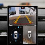 zel22
