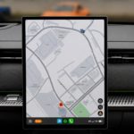 zel31