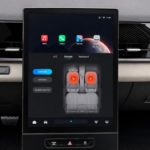 zel31