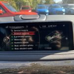 BMW X6 (50)