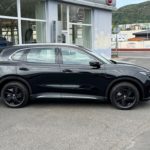 IMG_9918